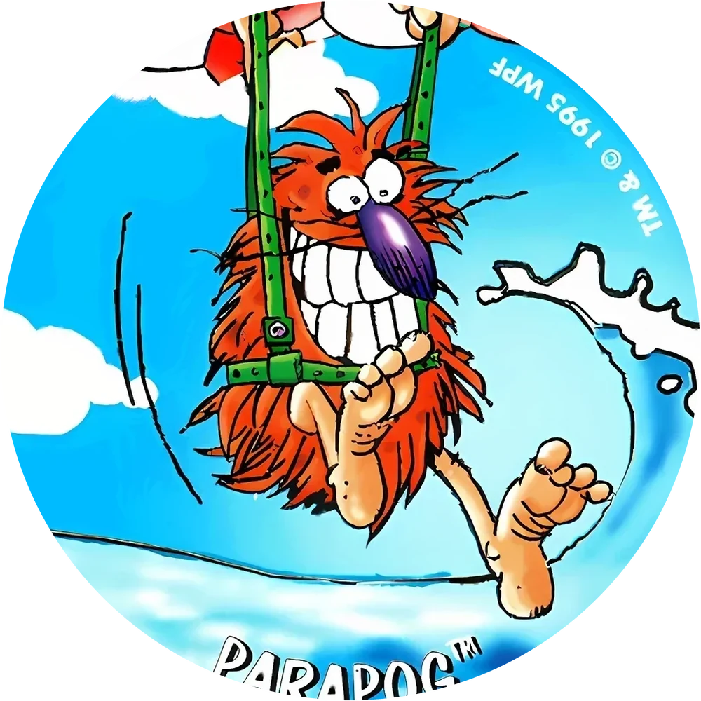 Pineapple Orange Guava 2 (POG) cap #5 — 90s pog