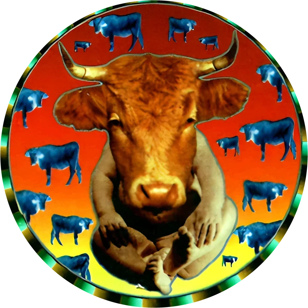 Circus of Freaks cap #13 — 90s pog