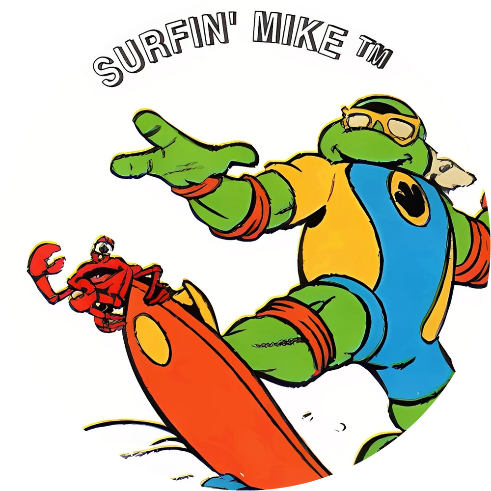 Фишка Turtles №110 — кэпс из 90-х