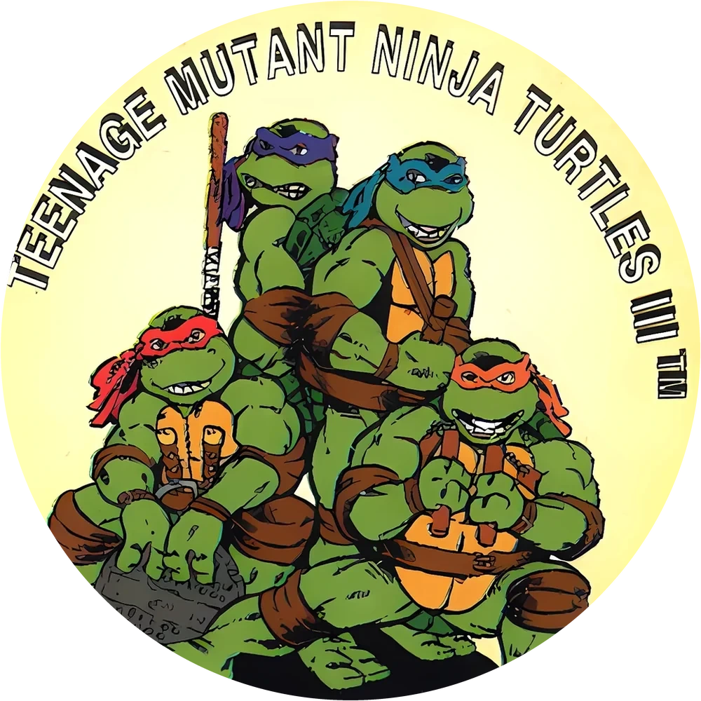 Фишка Turtles №136 — кэпс из 90-х