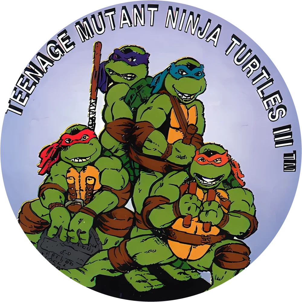 Фишка Turtles №137 — кэпс из 90-х