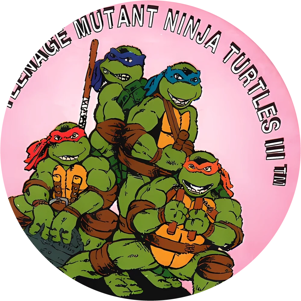 Фишка Turtles №138 — кэпс из 90-х