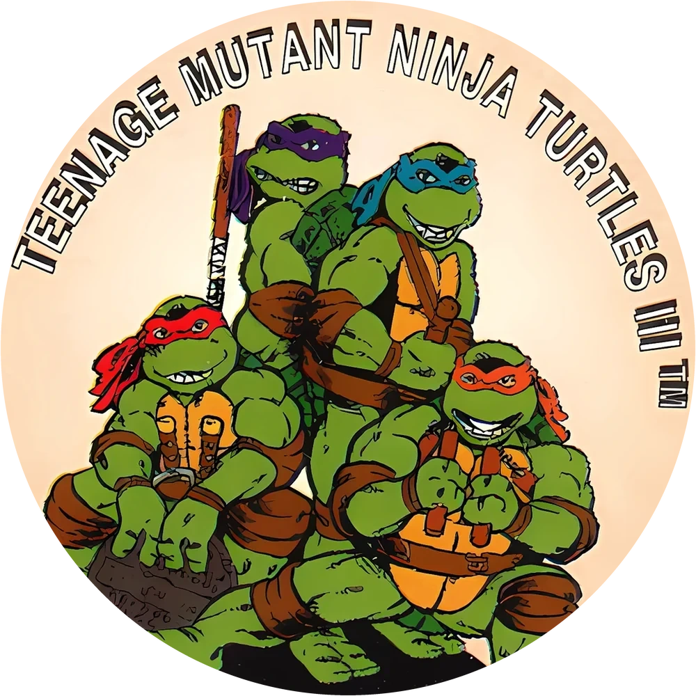 Фишка Turtles №139 — кэпс из 90-х