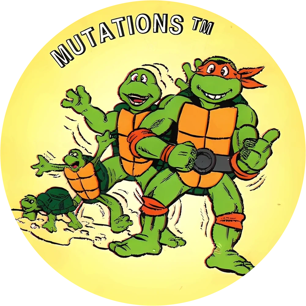 Фишка Turtles №56 — кэпс из 90-х