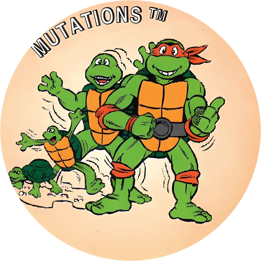 Фишка Turtles №59 — кэпс из 90-х