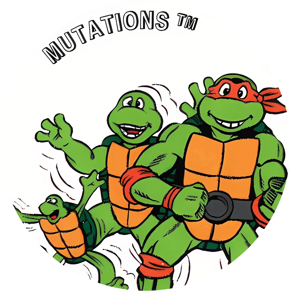 Фишка Turtles №60 — кэпс из 90-х