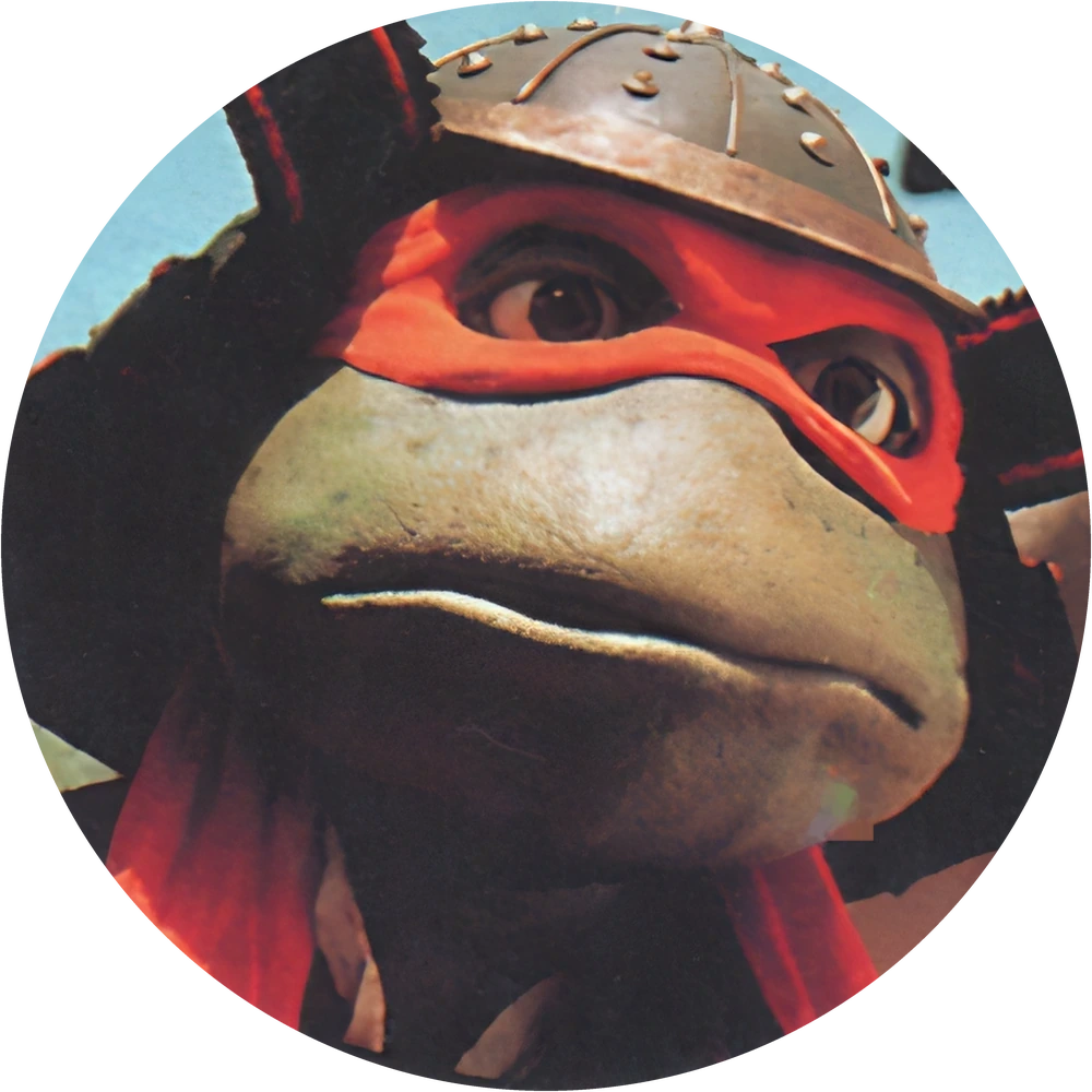 Фишка Turtles №83 — кэпс из 90-х