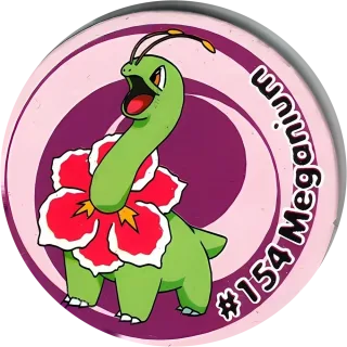 Poket cap #162 — 90s pog