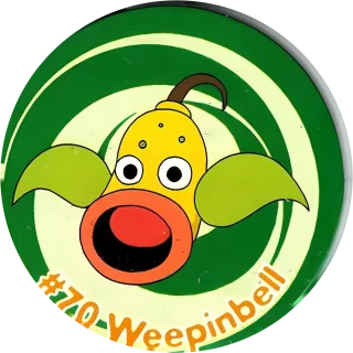 Poket cap #76 — 90s pog